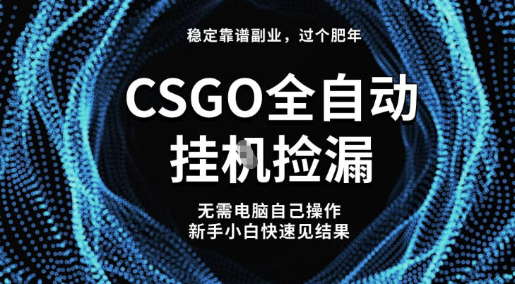 【稳定副业】全球最热门游戏CSGO全自动捡漏，最新玩法，新手小白日入5张+【揭秘】-创享网