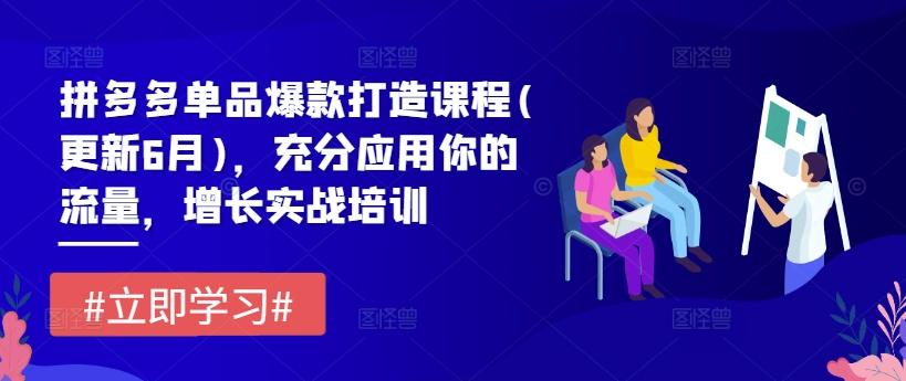 拼多多单品爆款打造课程(更新6月)，充分应用你的流量，增长实战培训 - 创享网-创享网