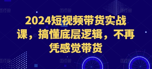 2024短视频带货实战课，搞懂底层逻辑，不再凭感觉带货 - 创享网-创享网