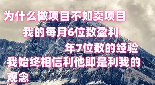 做项目不如卖项目，每月6位数盈利，年7位数经验 - 创享网-创享网