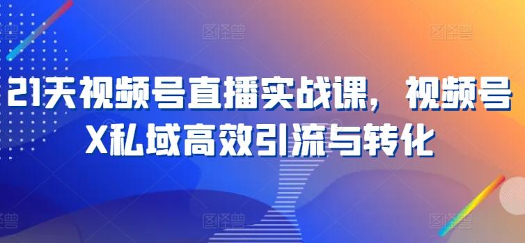 21天视频号直播实战课，视频号X私域高效引流与转化 - 创享网-创享网