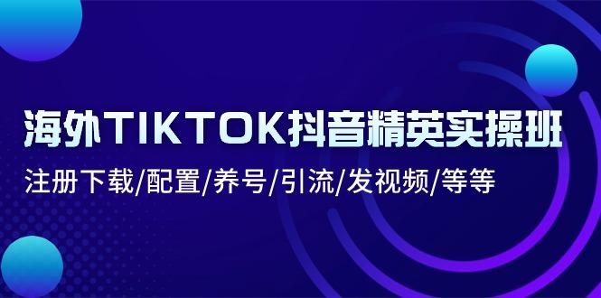 海外TIKTOK抖音精英实操班：注册下载/配置/养号/引流/发视频/等等 - 创享网-创享网