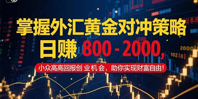 掌握外汇黄金对冲策略，日赚 800 – 2000，小众高回报创业机会，助你实… - 创享网-创享网