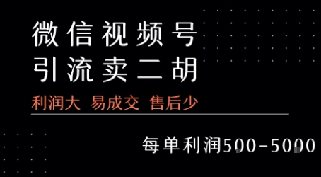 视频号卖二胡教程，利润大 易成交 售后少，一单利润5张+ - 创享网-创享网