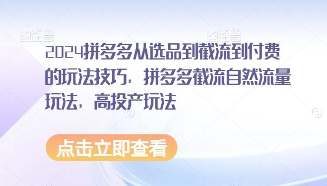 2024拼多多从选品到截流到付费的玩法技巧，拼多多截流自然流量玩法，高投产玩法 - 创享网-创享网