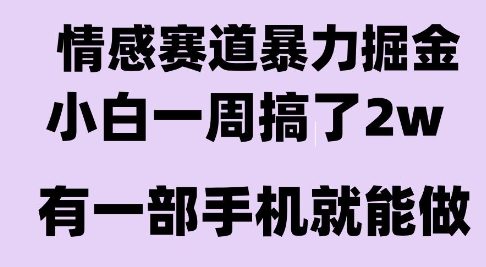 情感暴力掘金项目，新人操作一周挣了2W，长期稳定小白可做【揭秘】 - 创享网-创享网
