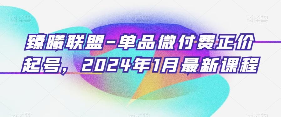 臻曦联盟-单品微付费正价起号，2024年1月最新课程 - 创享网-创享网