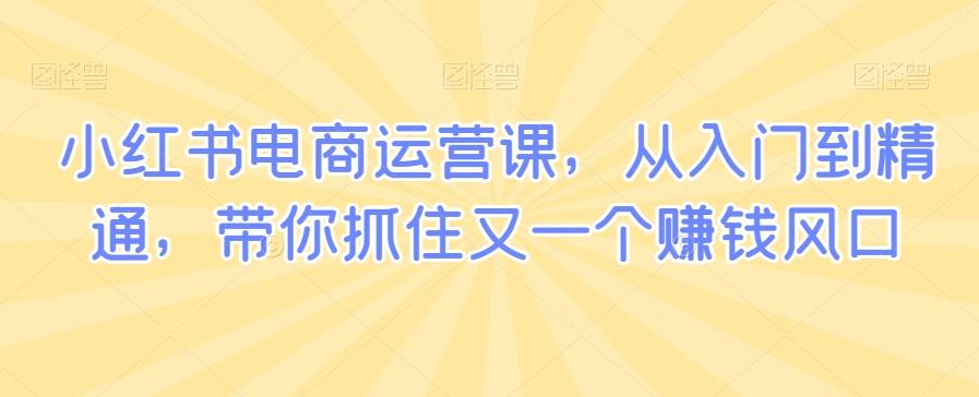 小红书电商运营课，从入门到精通，带你抓住又一个赚钱风口 - 创享网-创享网