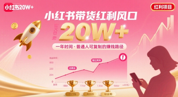 一年时间靠小红书带货项目年入20w+，最不能错的大红利项目 - 创享网-创享网