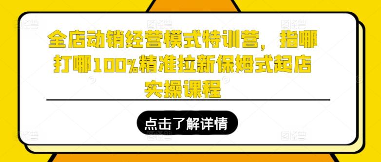 全店动销经营模式特训营，指哪打哪100%精准拉新保姆式起店实操课程 - 创享网-创享网