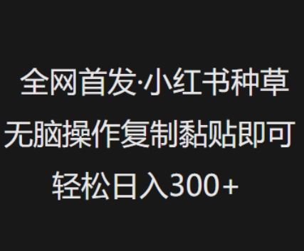 全网首发，小红书种草无脑操作，复制黏贴即可，轻松日入3张 - 创享网-创享网
