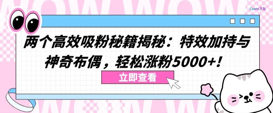 两个高效吸粉秘籍揭秘：特效加持与神奇布偶，轻松涨粉5000+【揭秘】 - 创享网-创享网