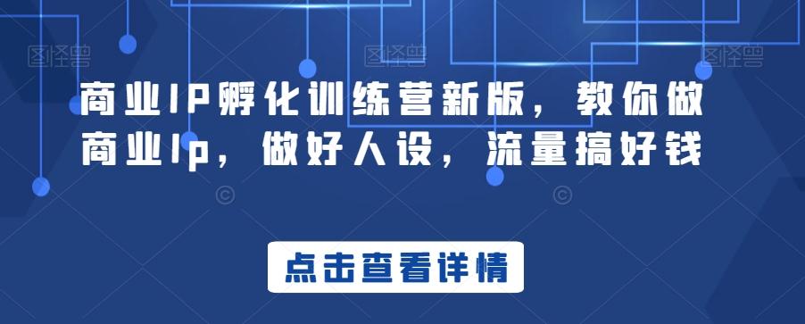 商业IP孵化训练营新版，教你做商业Ip，做好人设，流量搞好钱 - 创享网-创享网