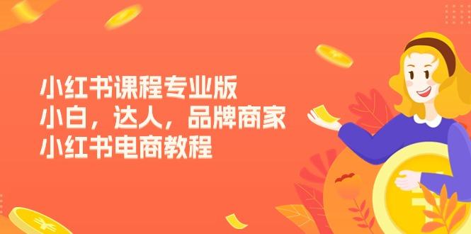 小红书课程专业版，小白，达人，品牌商家，小红书电商教程(15节 - 创享网-创享网