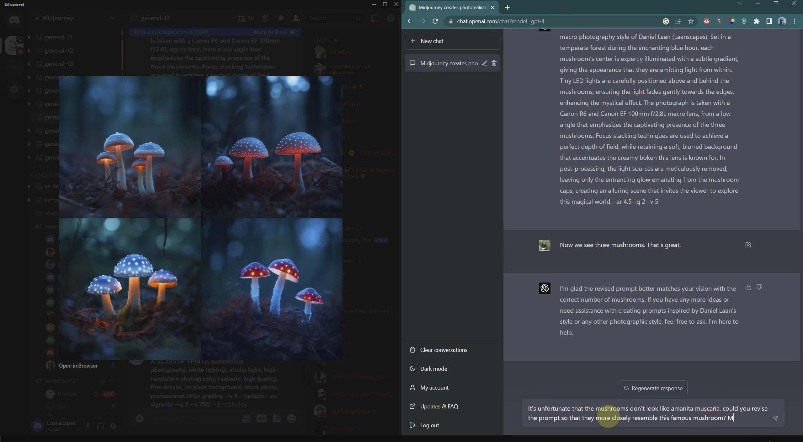 图片[4]-(8717期)摄影师 Daniel Laan 使用ChatGPT与Midjourney生成风光图像-中英字幕 - 创享网-创享网