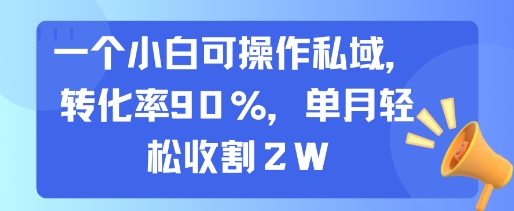 一个小白可操作私域，转化率90%，单月轻松收割2W - 创享网-创享网