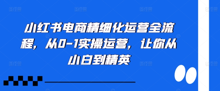 小红书电商精细化运营全流程，从0-1实操运营，让你从小白到精英 - 创享网-创享网