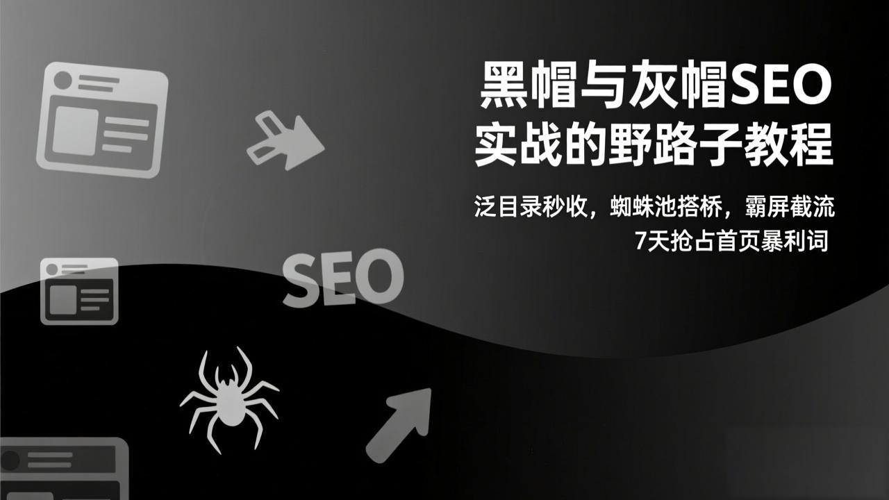 黑帽与灰帽SEO实战的野路子教程：泛目录秒收，蜘蛛池搭桥，霸屏截流，7天抢占首页暴利词-创享网