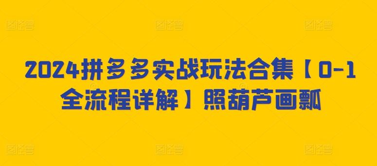 2024拼多多实战玩法合集【0-1全流程详解】照葫芦画瓢 - 创享网-创享网