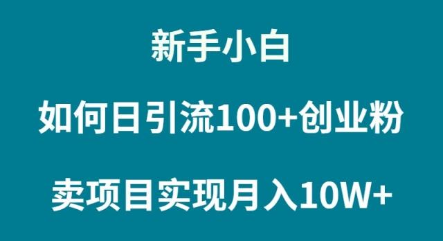 (9556期)新手小白如何通过卖项目实现月入10W+ - 创享网-创享网