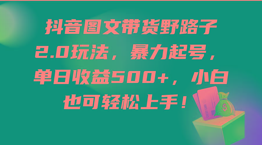 (9790期)抖音图文带货野路子2.0玩法，暴力起号，单日收益500+，小白也可轻松上手！ - 创享网-创享网