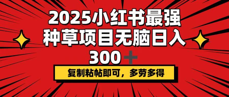 2025小红书最强种草项目，无脑日入300+，复制粘帖即可，多劳多得 - 创享网-创享网