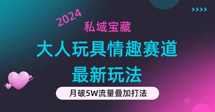 私域宝藏：大人玩具情趣赛道合规新玩法，零投入，私域超高流量成单率高 - 创享网-创享网