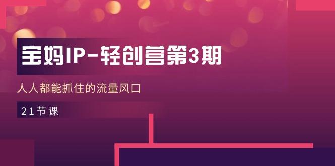 宝妈IP-轻创营第3期，人人都能抓住的流量风口(21节课 - 创享网-创享网