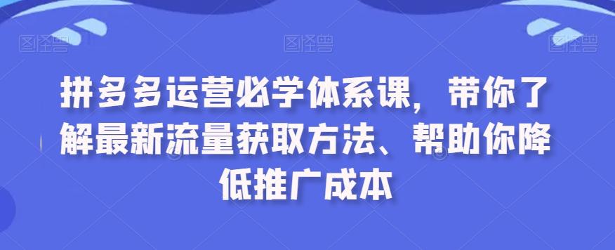 拼多多运营必学体系课，带你了解最新流量获取方法、帮助你降低推广成本 - 创享网-创享网