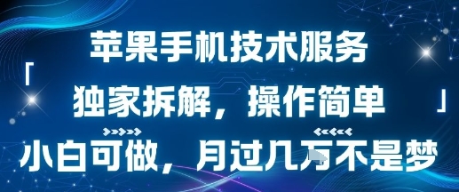 苹果手机技术服务，独家拆解，操作简单，小白可做，月过1W不是梦 - 创享网-创享网