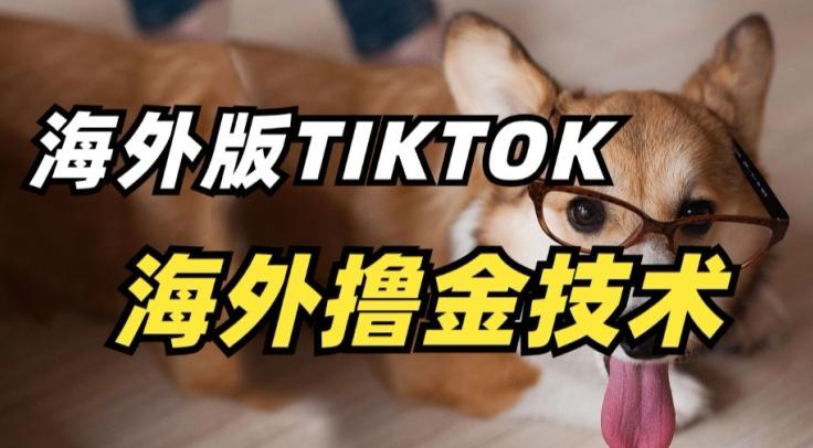 抖音海外版tiktok撸金技术，这个风口行业，赚钱真的不难【揭秘】 - 创享网-创享网