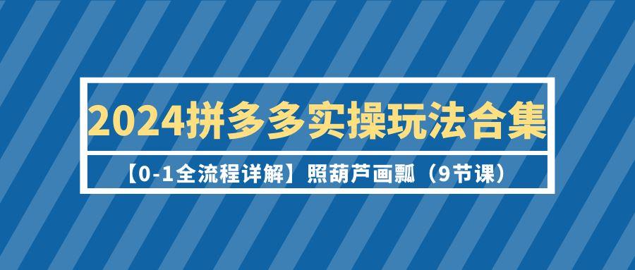 (9559期)2024拼多多实操玩法合集【0-1全流程详解】照葫芦画瓢(9节课) - 创享网-创享网