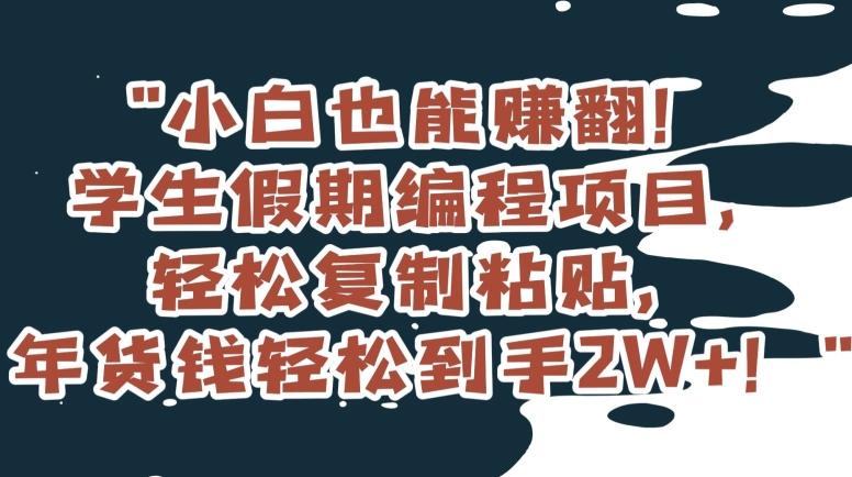 小白也能赚翻！学生假期编程项目，轻松复制粘贴，年货钱轻松到手2W+【揭秘】 - 创享网-创享网