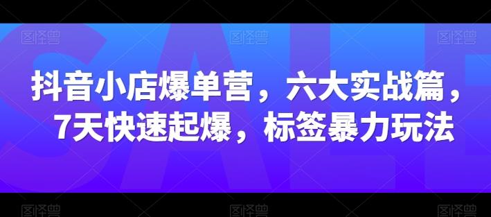 抖音小店爆单营，六大实战篇，7天快速起爆，标签暴力玩法 - 创享网-创享网