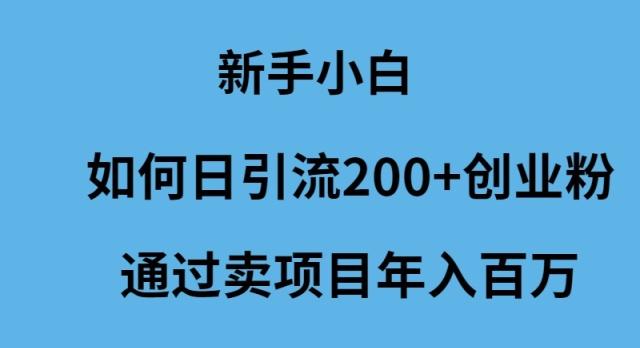 (9668期)新手小白如何日引流200+创业粉通过卖项目年入百万 - 创享网-创享网