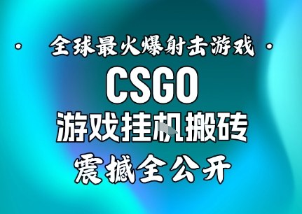 【年底大揭秘】基于全球最火爆的射击CSGO游戏挂G搬砖，日入5张+，震撼公开-创享网