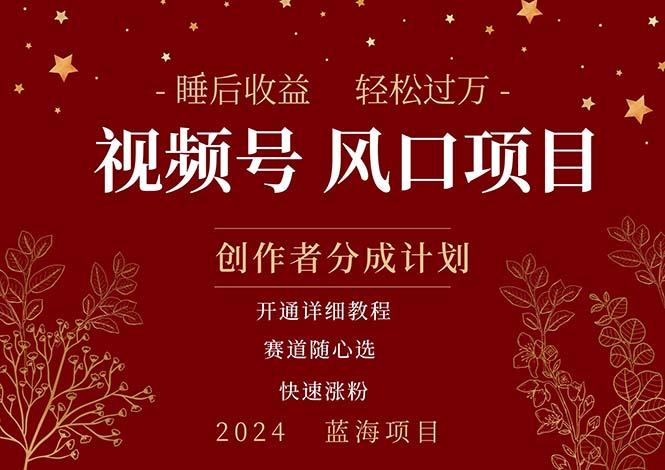 拥有睡眠收益的微信视频号大风口项目，轻松月入过万+，多赛道选择，可... - 创享网-创享网