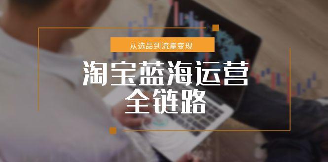 淘宝蓝海运营全链路，从选品到流量变现，小类目突围完整方案 - 创享网-创享网