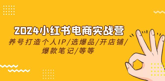 2024小红书电商实战营，养号打造IP/选爆品/开店铺/爆款笔记/等等(24节) - 创享网-创享网