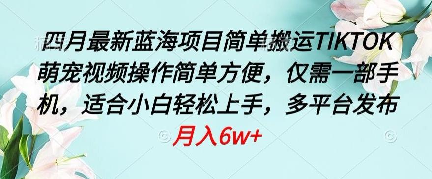 四月最新蓝海项目，简单搬运TIKTOK萌宠视频，操作简单方便，仅需一部手机【揭秘】 - 创享网-创享网