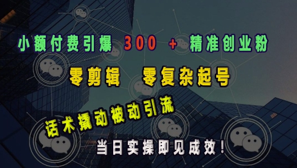 小额付费引爆 300 + 精准创业粉，零剪辑、零复杂起号，话术撬动被动引流，当日实操即见成效 - 创享网-创享网