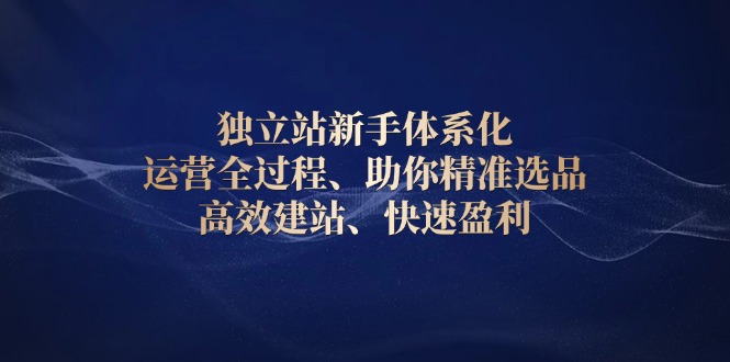 独立站新手体系化 运营全过程，助你精准选品、高效建站、快速盈利 - 创享网-创享网