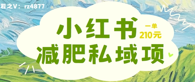 小红书减肥粉，私域变现项目，一单就达210元，小白也能轻松上手【揭秘】 - 创享网-创享网