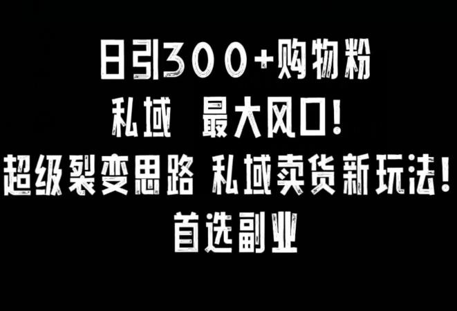 日引300+购物粉，超级裂变思路，私域卖货新玩法，小红书首选副业【揭秘】 - 创享网-创享网