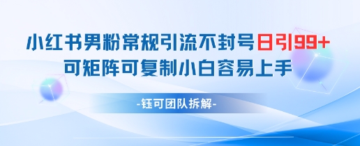 小红书男粉常规引流不封号日引99+变现简单 可矩阵可复制小白容易上手 - 创享网-创享网