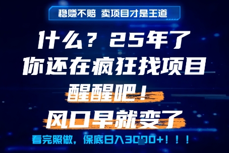 什么？25年你还在疯狂找项目做，醒醒吧，看完这些你全都懂了！【揭秘】 - 创享网-创享网