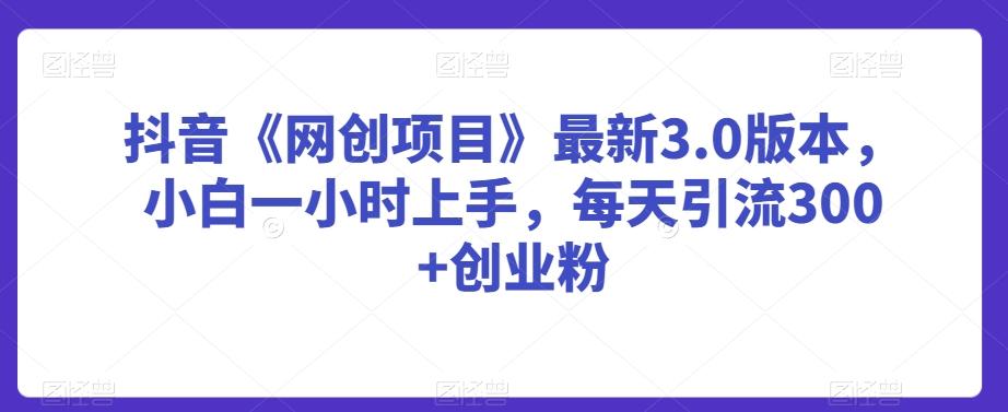 抖音《网创项目》最新3.0版本，小白一小时上手，每天引流300+创业粉【揭秘】 - 创享网-创享网
