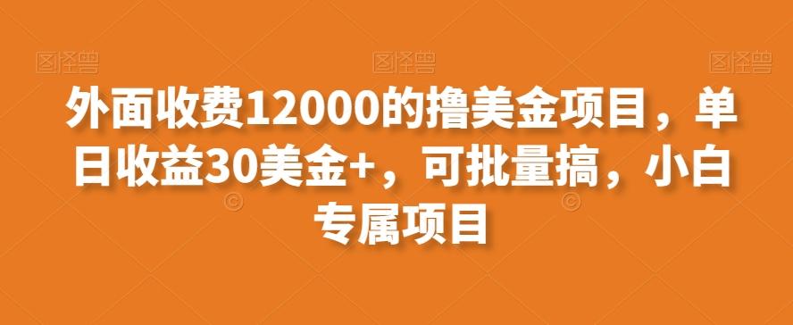 外面收费12000的撸美金项目，单日收益30美金+，可批量搞，小白专属项目 - 创享网-创享网