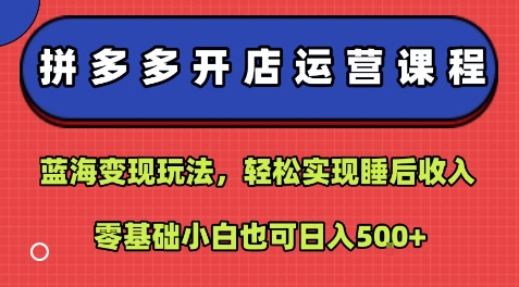 拼多多开店运营课程：蓝海变现玩法，轻松实现睡后收入，零基础小白也可日入5张 - 创享网-创享网