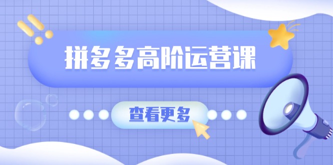 拼多多高阶运营课：极致群爆款玩法，轻付费无尽复制，打造单品爆款之路 - 创享网-创享网